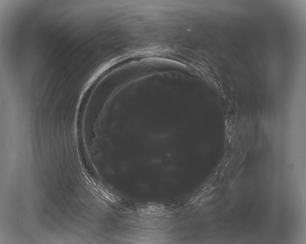 X0000080670196200612151205