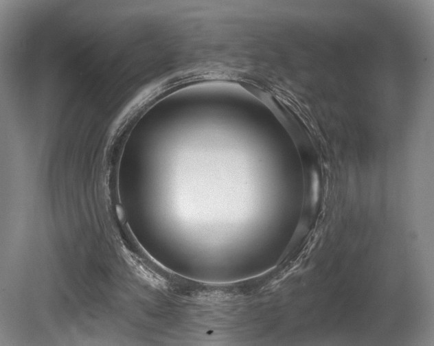 X0000080670197200612151205