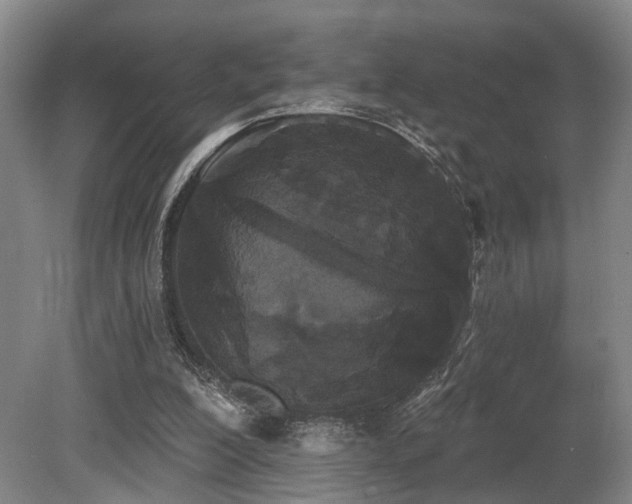 X0000080670200200612151205