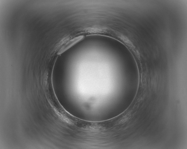 X0000080670201200612151205