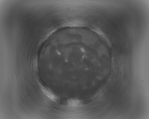 X0000080670202200612151205