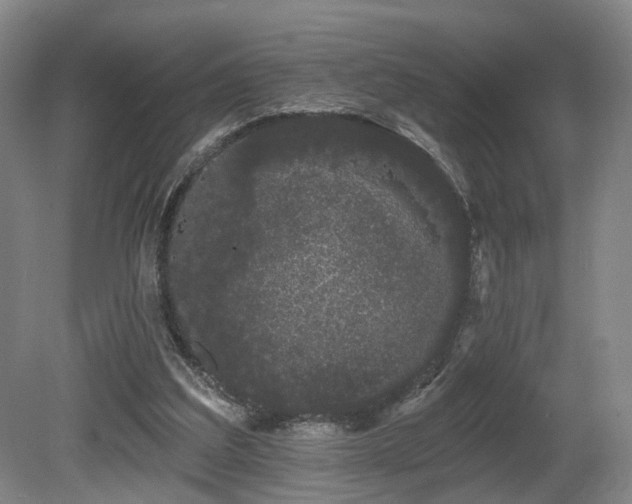 X0000080670203200612151205