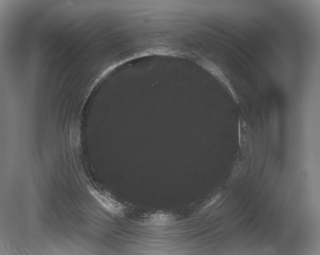 X0000080670204200612151205