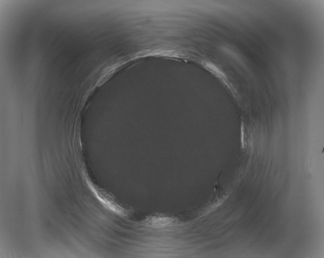 X0000080670205200612151205