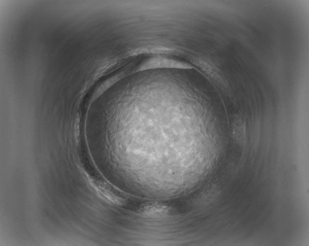 X0000080670206200612151205