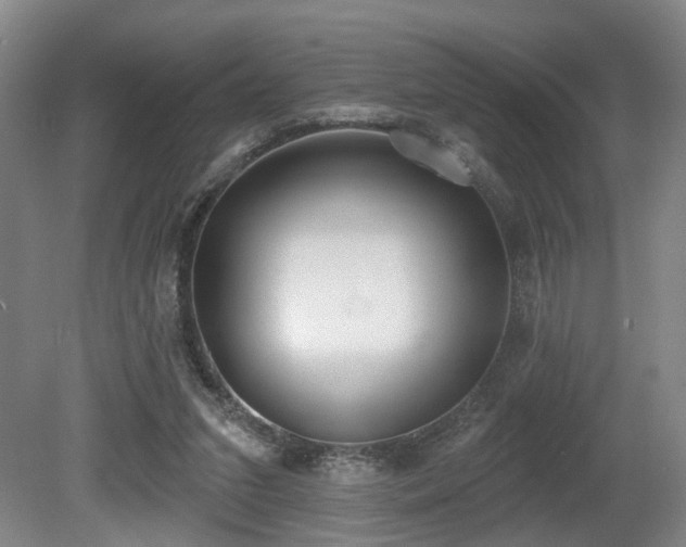 X0000080670207200612151205