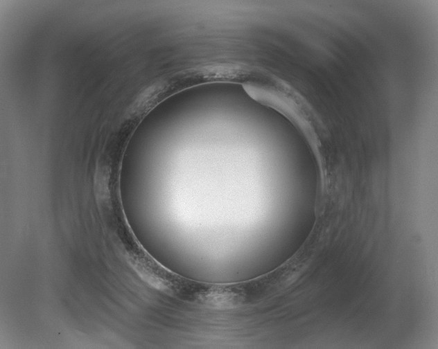 X0000080670209200612151205