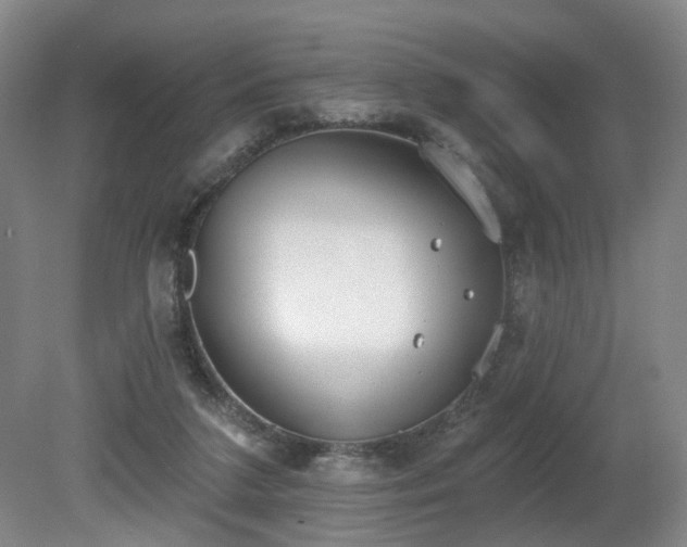 X0000080670211200612151205