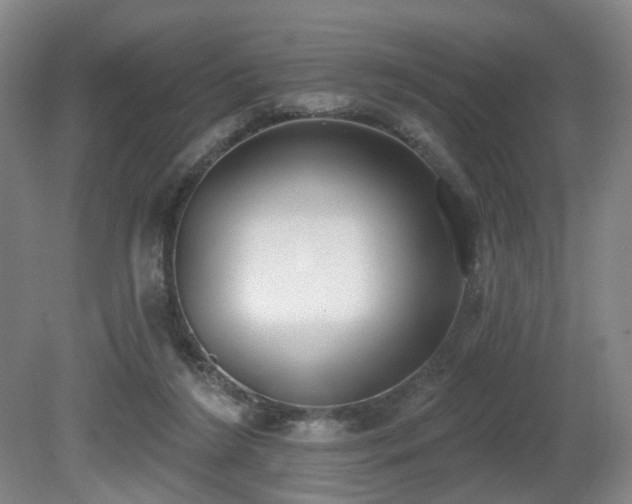 X0000080670212200612151205