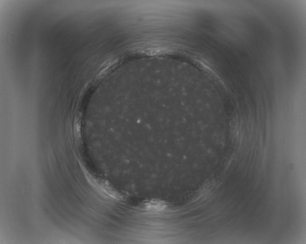 X0000080670214200612151205