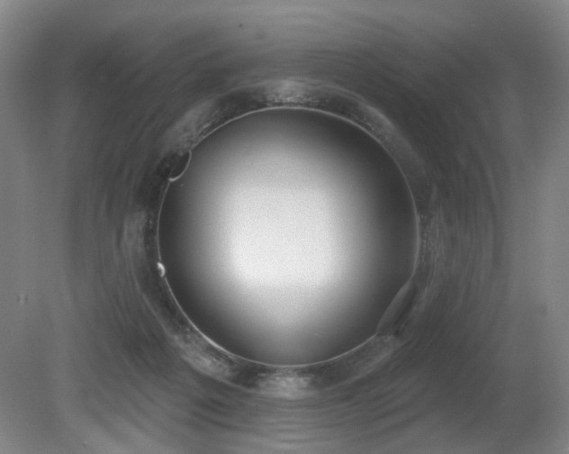 X0000080670217200612151205