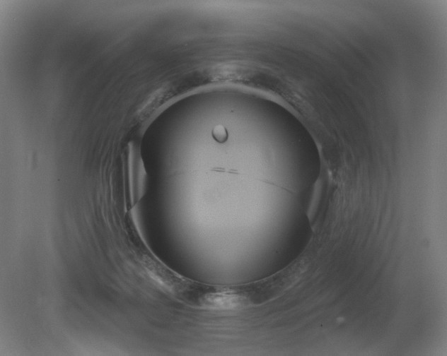 X0000080670219200612151205