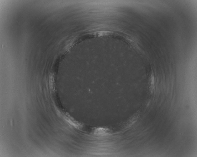 X0000080670222200612151205