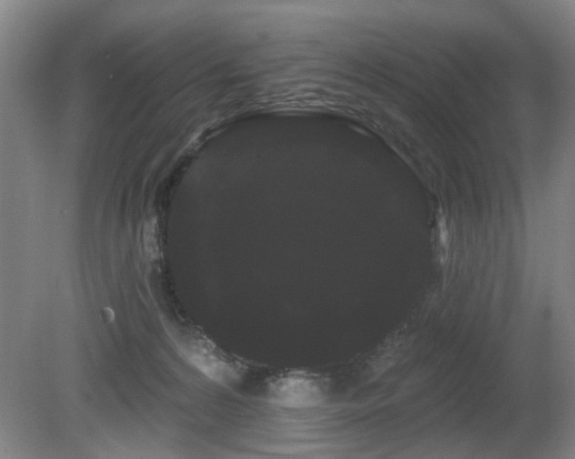 X0000080670224200612151205
