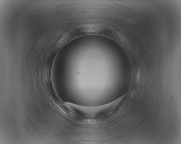 X0000080670227200612151205