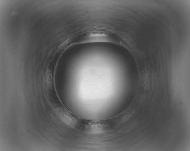X0000080670228200612151205