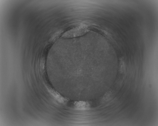 X0000080670230200612151205