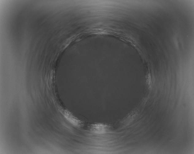 X0000080670233200612151205
