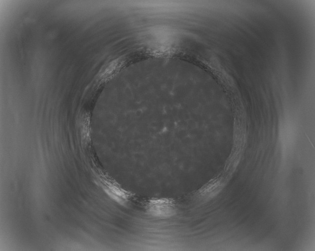 X0000080670240200612151205