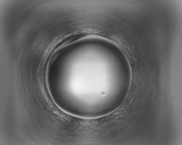 X0000080670241200612151204