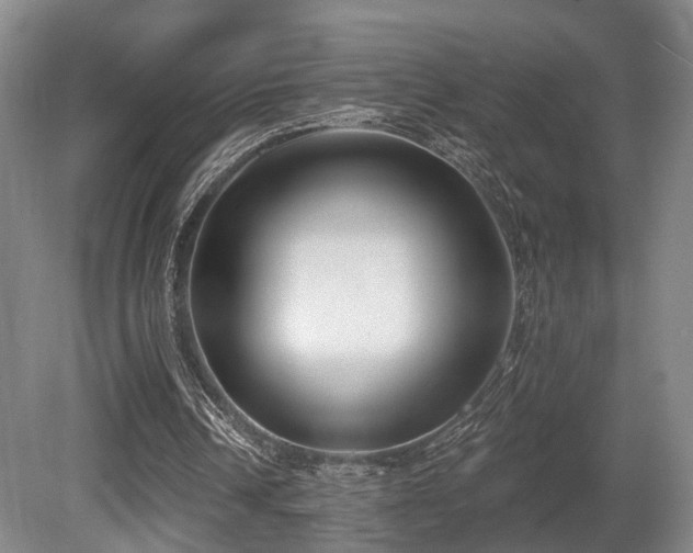 X0000080670242200612151204