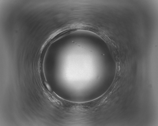 X0000080670244200612151204