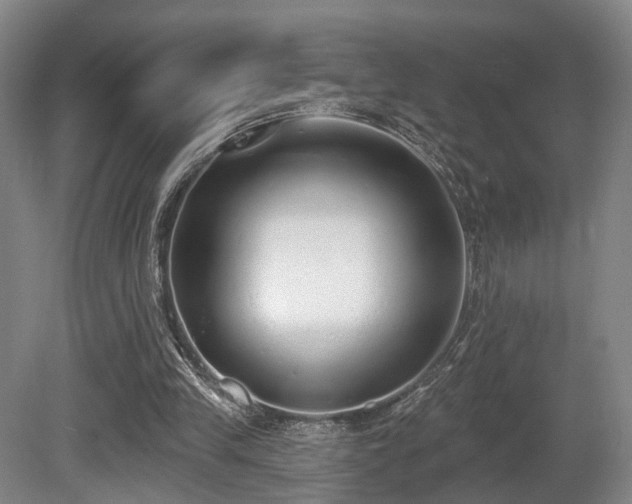X0000080670245200612151204