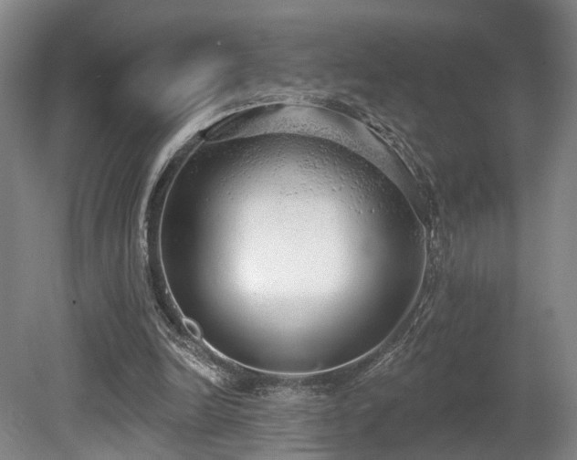 X0000080670246200612151204