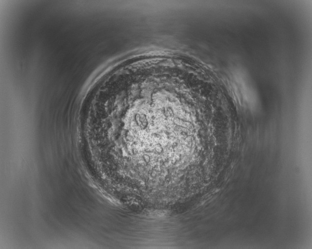 X0000080670247200612151204