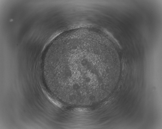 X0000080670250200612151204