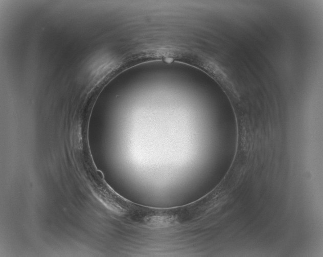 X0000080670251200612151204