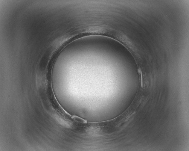 X0000080670252200612151204