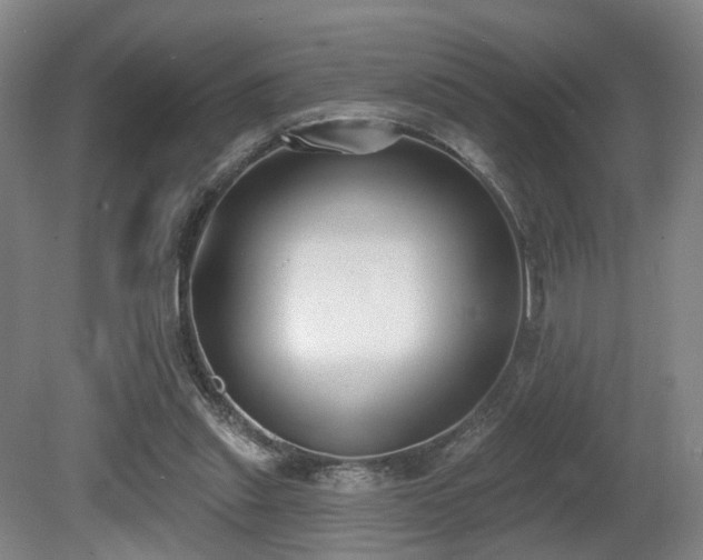 X0000080670253200612151204