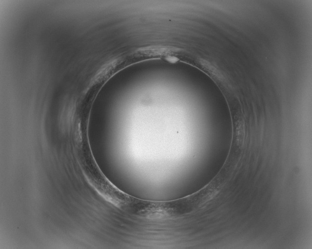 X0000080670254200612151204
