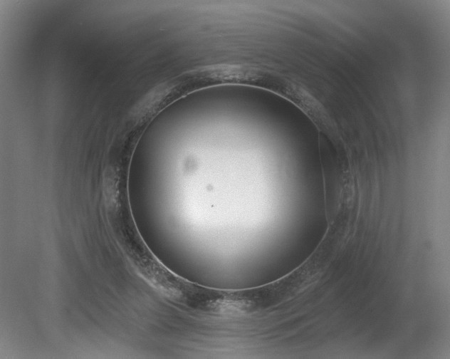 X0000080670255200612151204