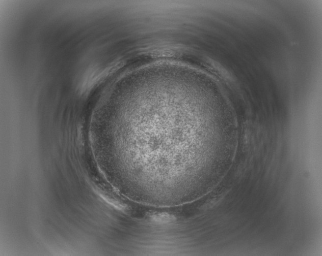 X0000080670258200612151204