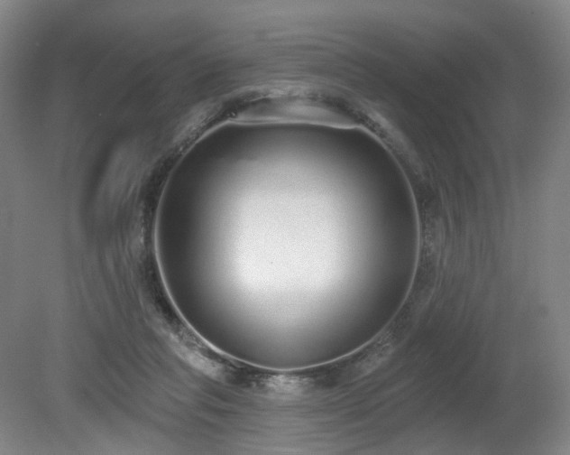 X0000080670261200612151204