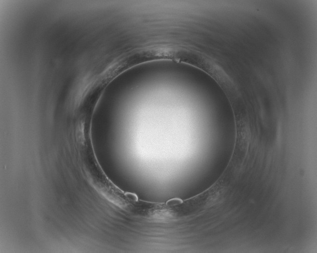 X0000080670262200612151204