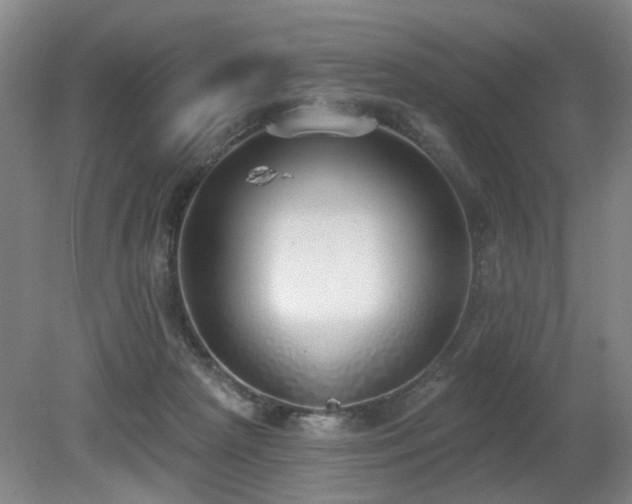 X0000080670265200612151204