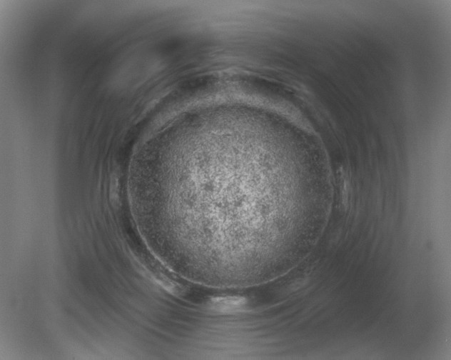 X0000080670266200612151204