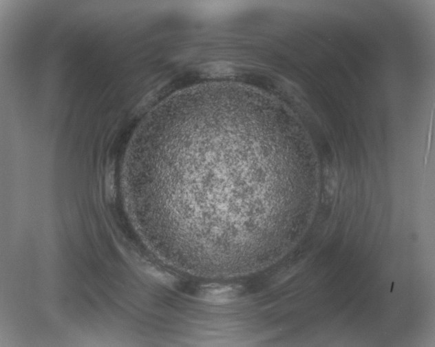 X0000080670267200612151204