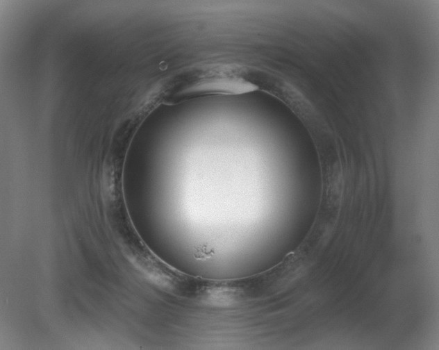 X0000080670268200612151204