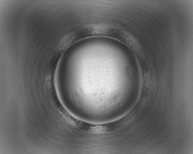 X0000080670269200612151204
