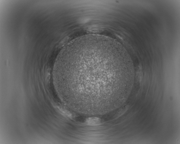 X0000080670271200612151204