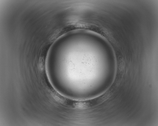 X0000080670273200612151204