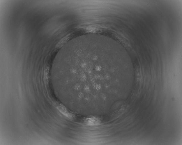 X0000080670275200612151205