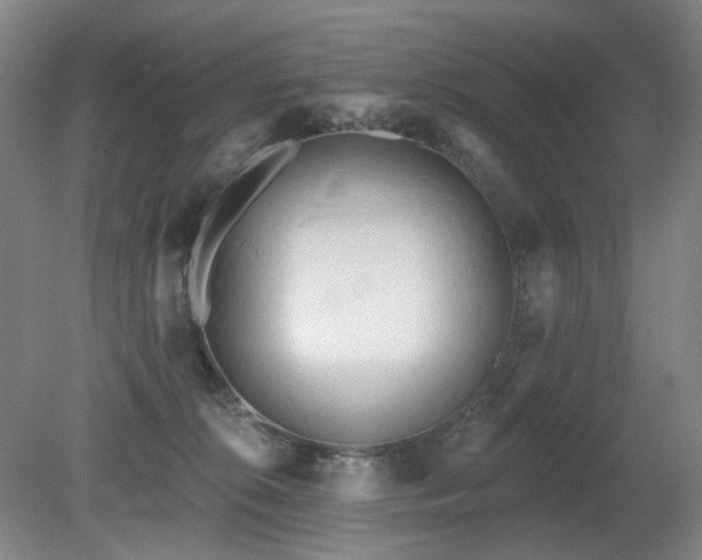 X0000080670276200612151205