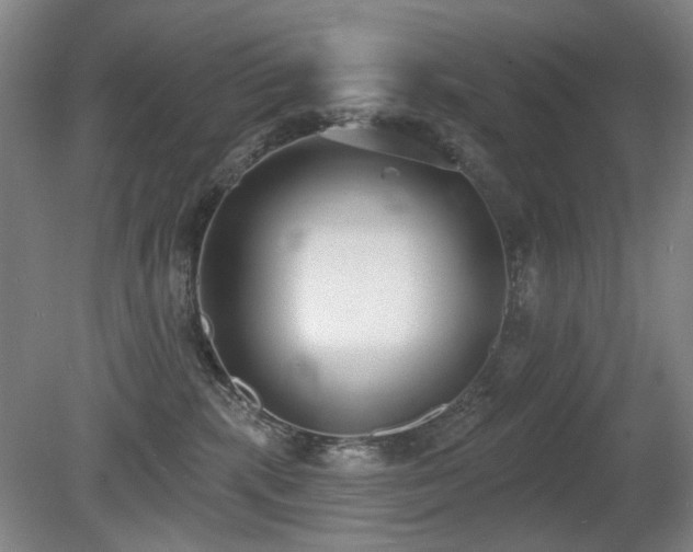 X0000080670283200612151205