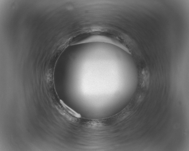 X0000080670284200612151205