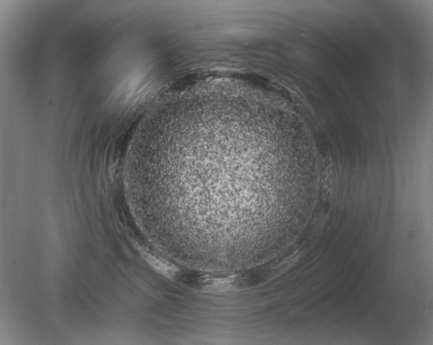 X0000080670285200612151205